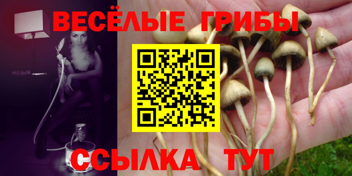 Галлюциногенные грибы мухоморы Мичуринск